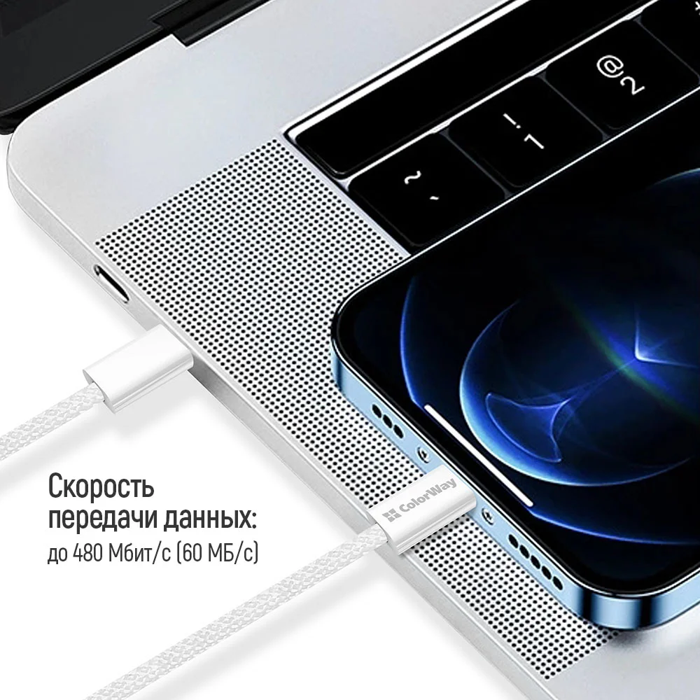 CW-CBPDCL061-GR - CW-CBPDCL061-GR_ru_14