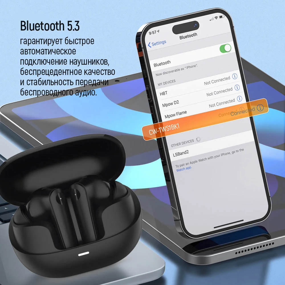 CW-TWS1BK1 - CW-TWS1BK1_ru_13