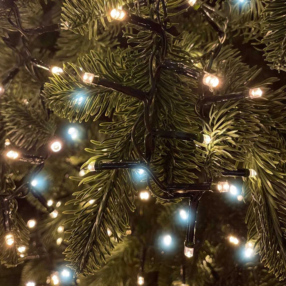 CW-G-250L5VMC - CW-G-250L5VMC_04