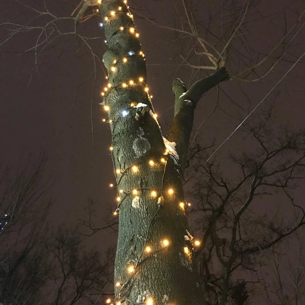 CW-GO-200L20SBWW - CW-GO-200L20SBWW_14