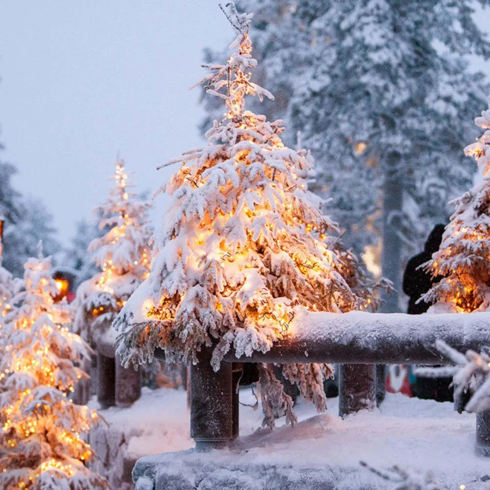 CW-GO-200L20SBWW - CW-GO-200L20SBWW_27